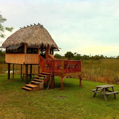 Everglades Chickee Cottage & Bungalow - Ochopee Bagian luar foto