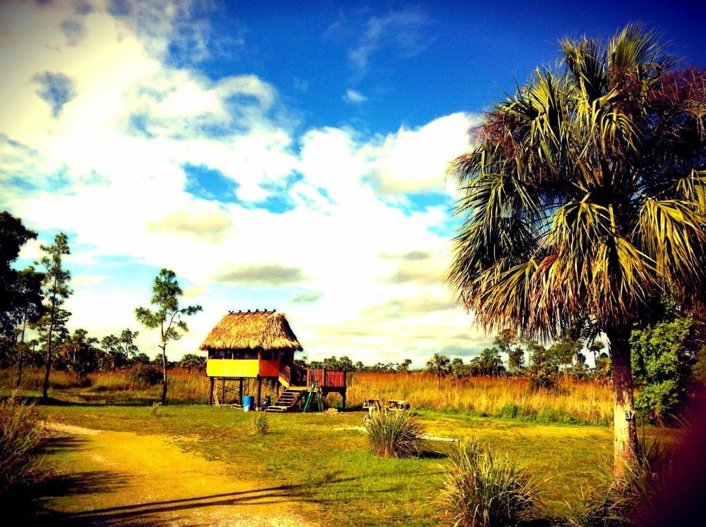 Everglades Chickee Cottage & Bungalow - Ochopee Ruang foto