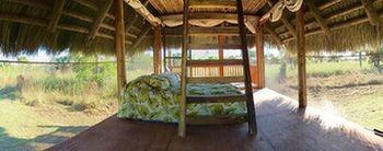 Everglades Chickee Cottage & Bungalow - Ochopee Bagian luar foto