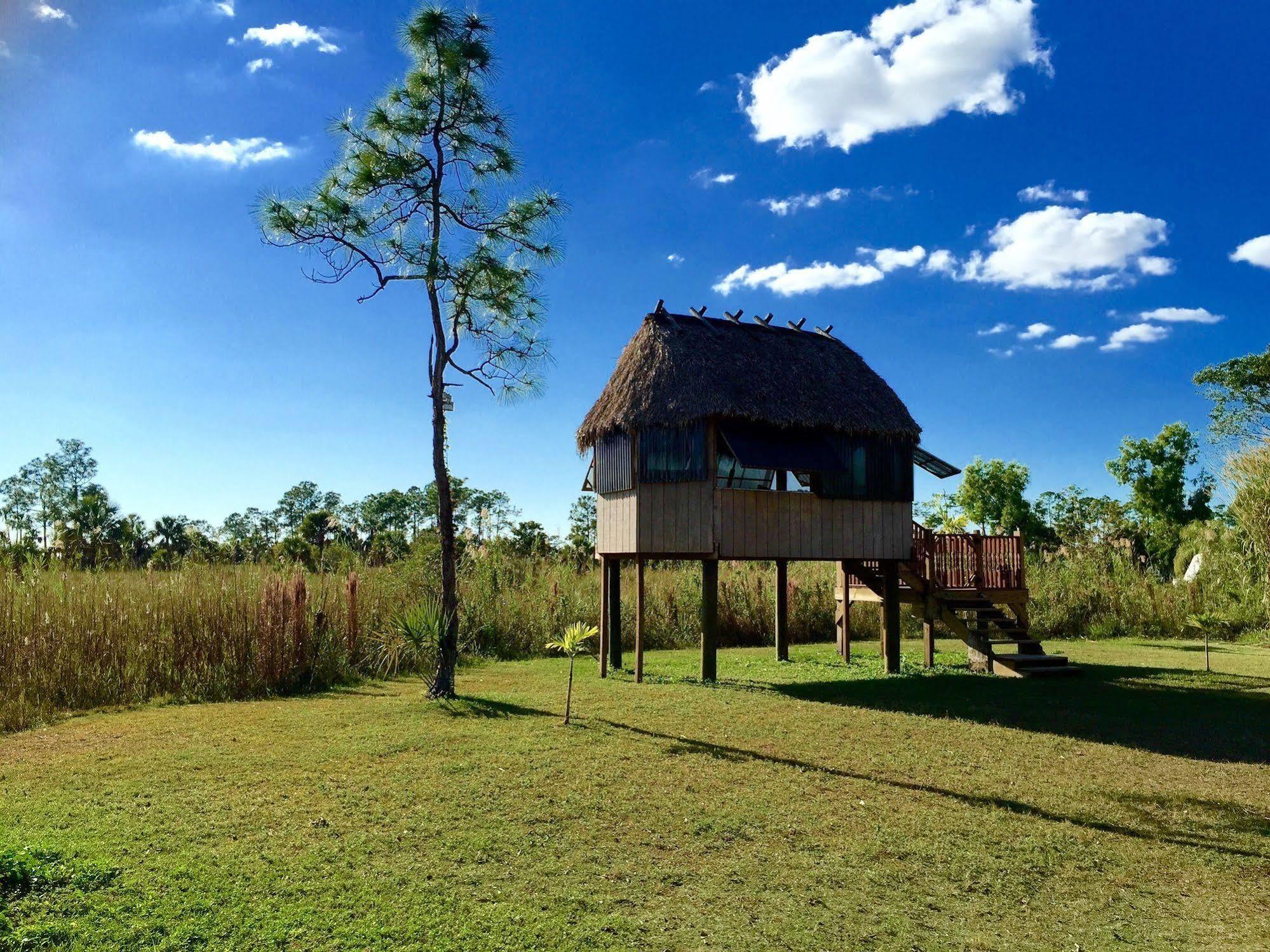 Everglades Chickee Cottage & Bungalow - Ochopee Bagian luar foto