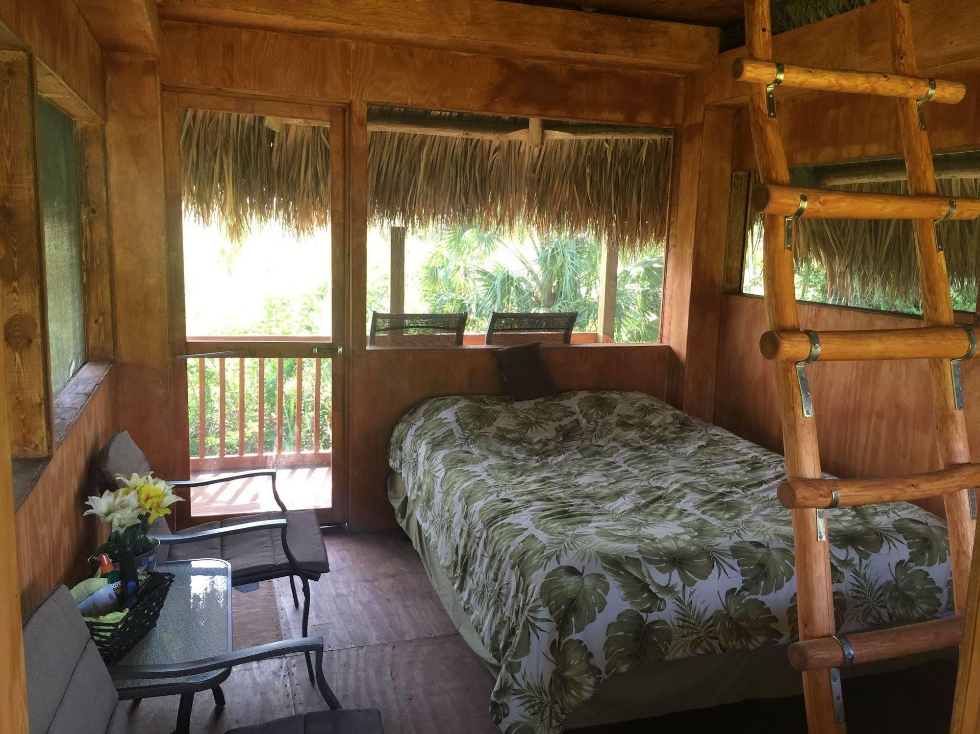 Everglades Chickee Cottage & Bungalow - Ochopee Bagian luar foto