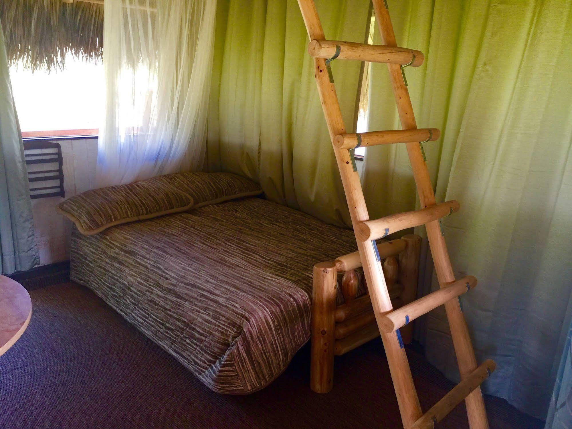 Everglades Chickee Cottage & Bungalow - Ochopee Bagian luar foto