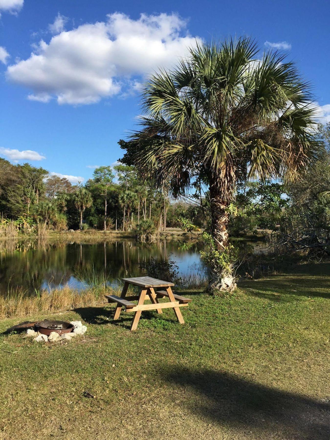 Everglades Chickee Cottage & Bungalow - Ochopee Bagian luar foto